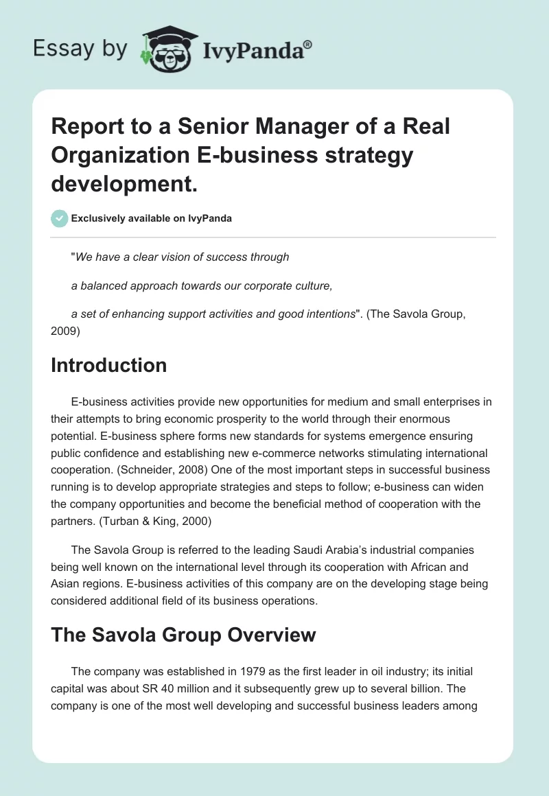 Report to a Senior Manager of a Real Organization E-Business Strategy Development.. Page 1