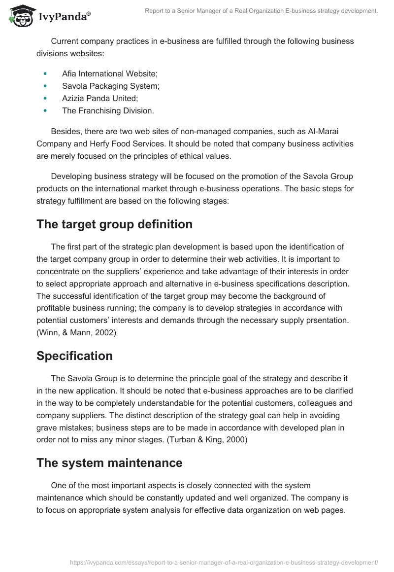 Report to a Senior Manager of a Real Organization E-Business Strategy Development.. Page 3