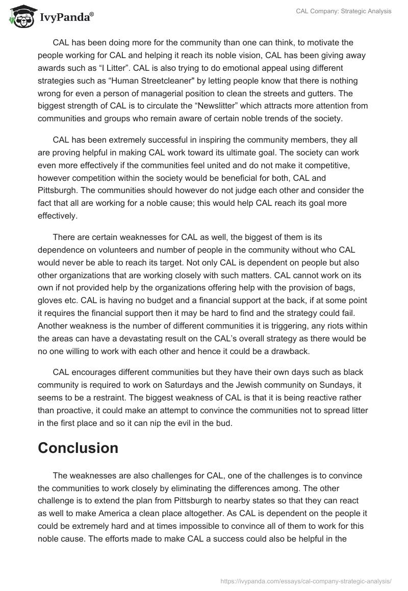CAL Company: Strategic Analysis. Page 2