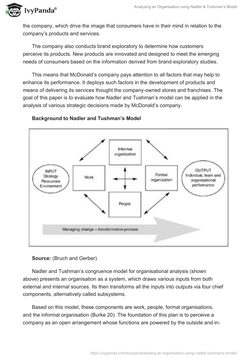 Analysing an Organisation using Nadler & Tushman’s Model. Page 3