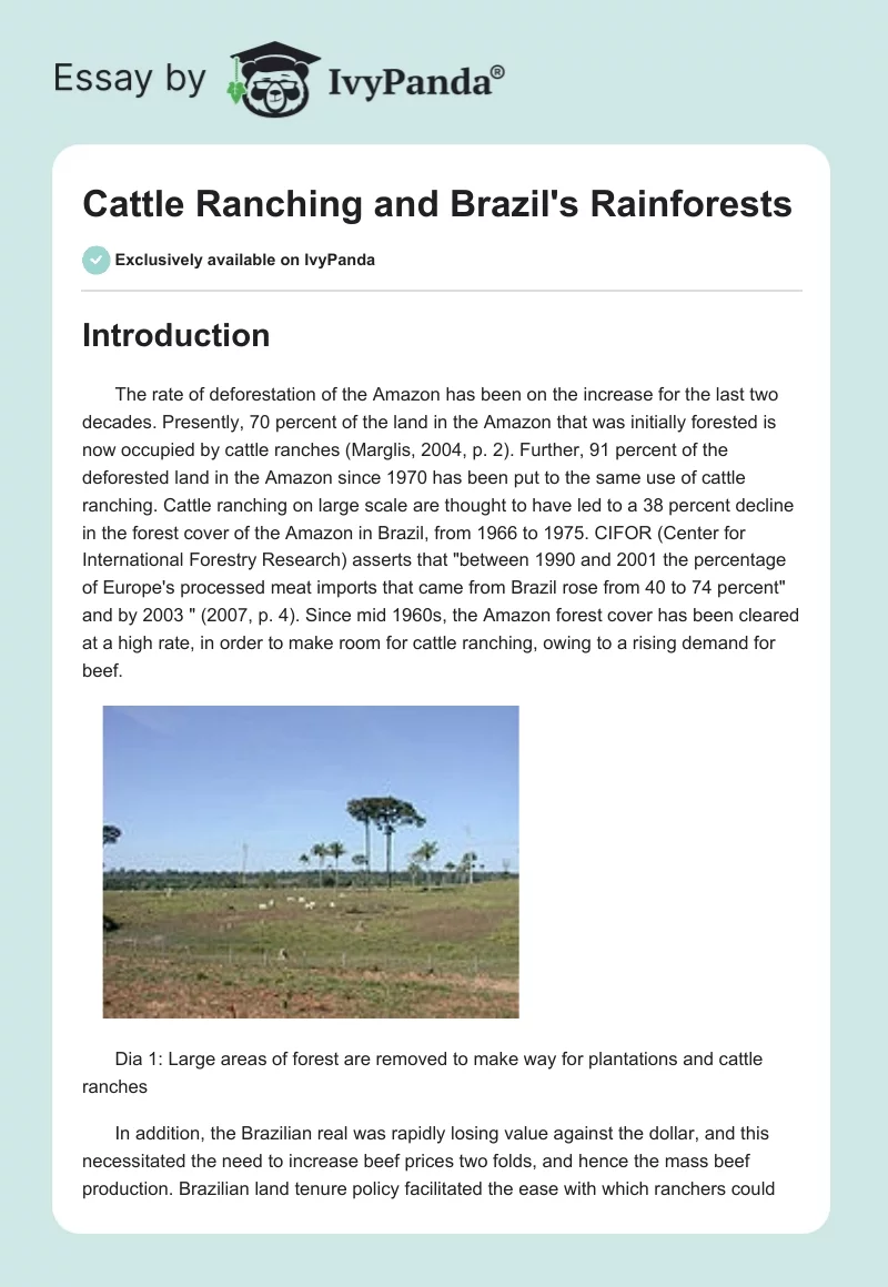 Cattle Ranching and Brazil's Rainforests. Page 1