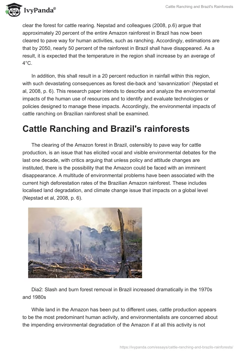 Cattle Ranching and Brazil's Rainforests. Page 2
