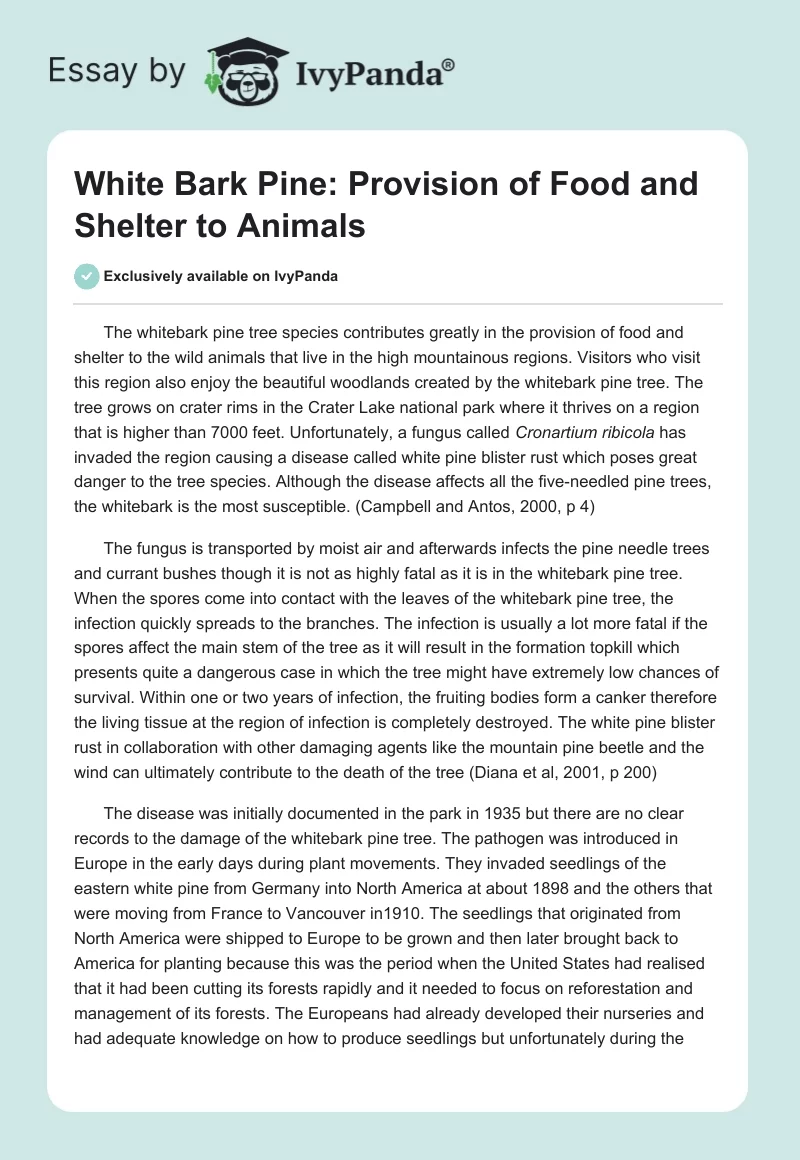 White Bark Pine: Provision of Food and Shelter to Animals. Page 1