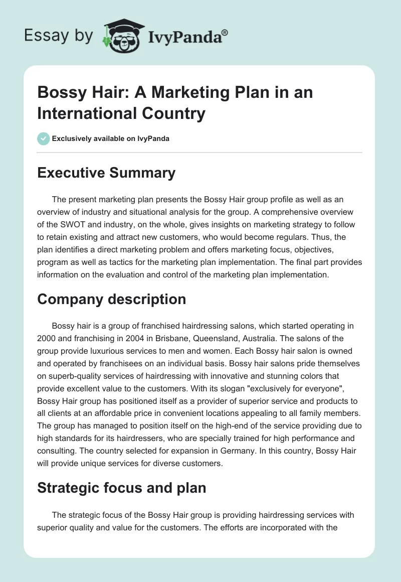 Bossy Hair: A Marketing Plan in an International Country. Page 1