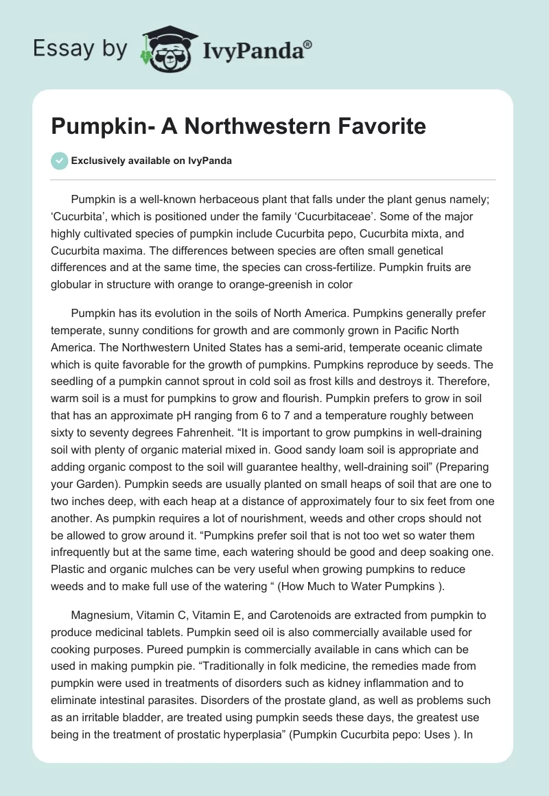 Pumpkin- A Northwestern Favorite. Page 1