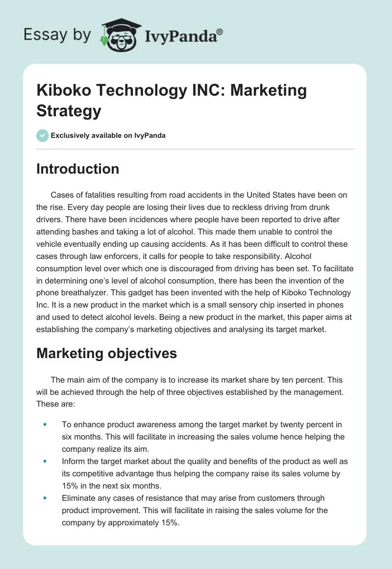 Kiboko Technology INC: Marketing Strategy. Page 1