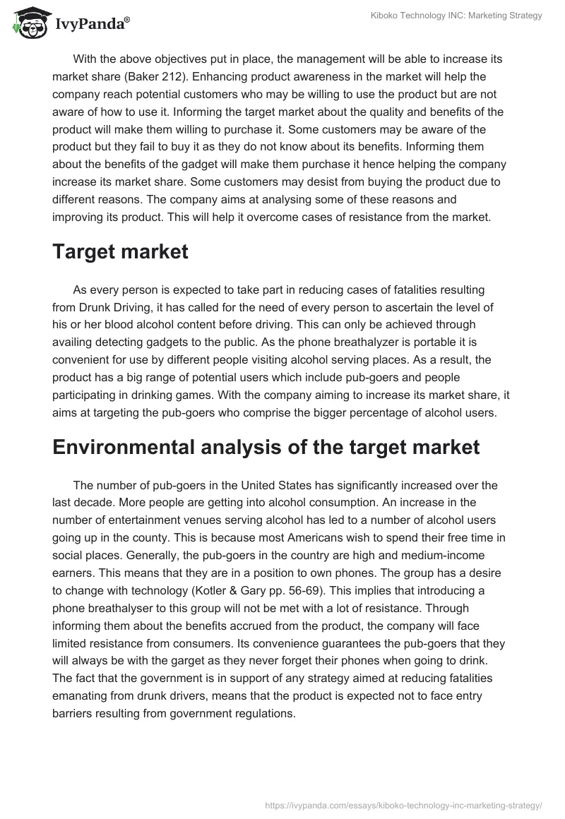 Kiboko Technology INC: Marketing Strategy. Page 2