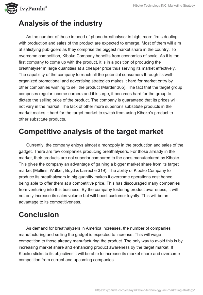 Kiboko Technology INC: Marketing Strategy. Page 3