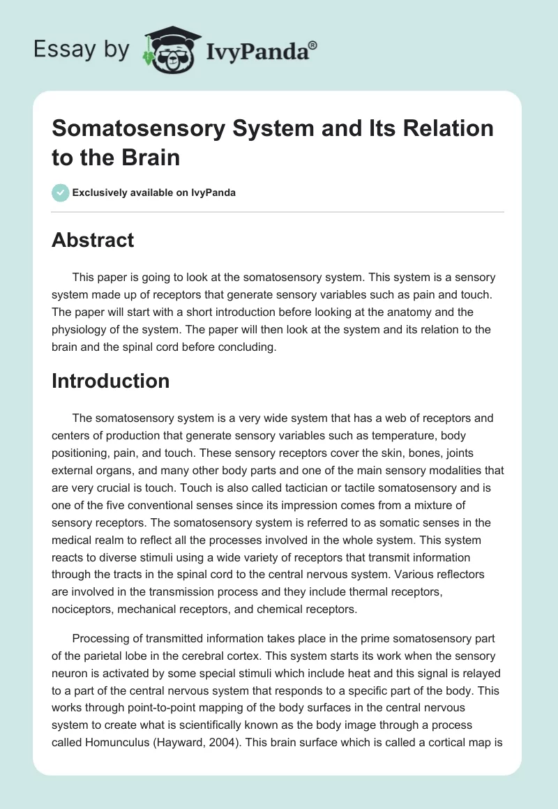 Somatosensory System and Its Relation to the Brain. Page 1