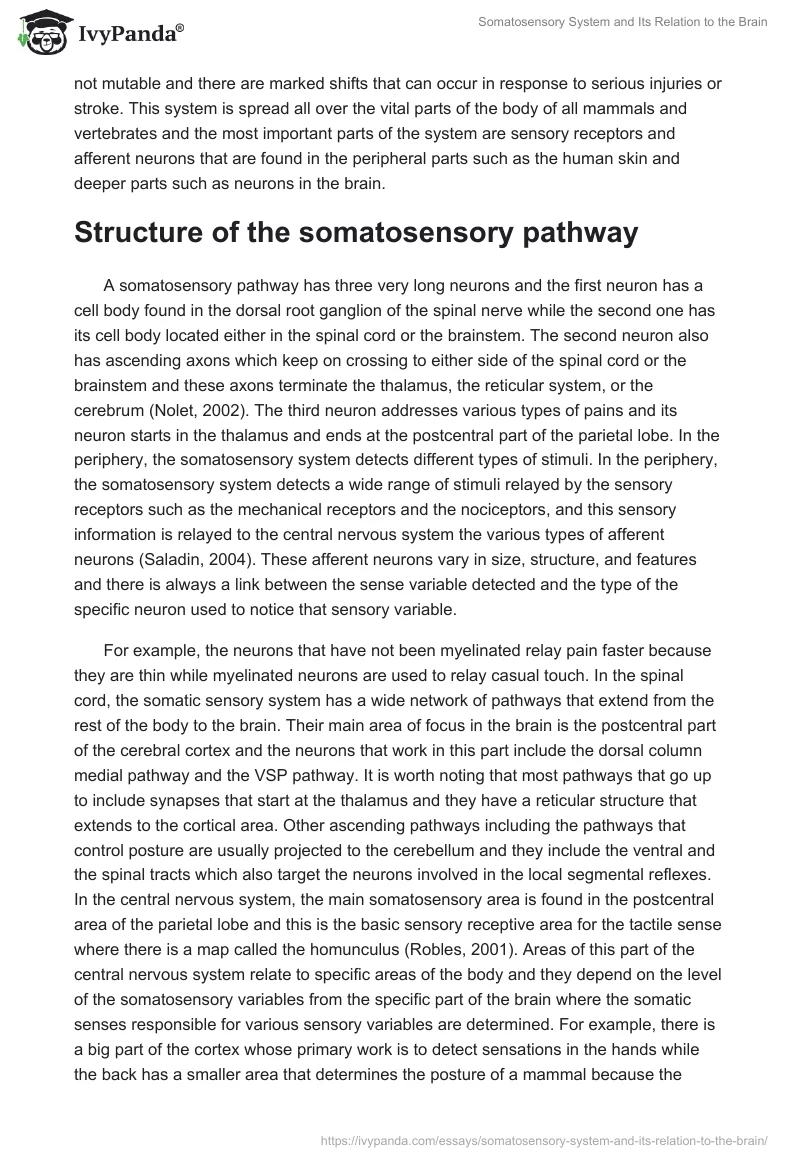 Somatosensory System and Its Relation to the Brain. Page 2