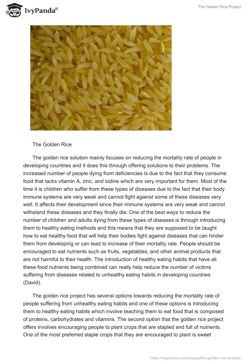 The Golden Rice Project. Page 2