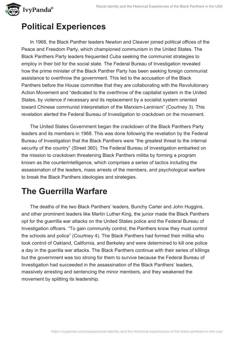 Racial Identity and the Historical Experiences of the Black Panthers in the USA. Page 3