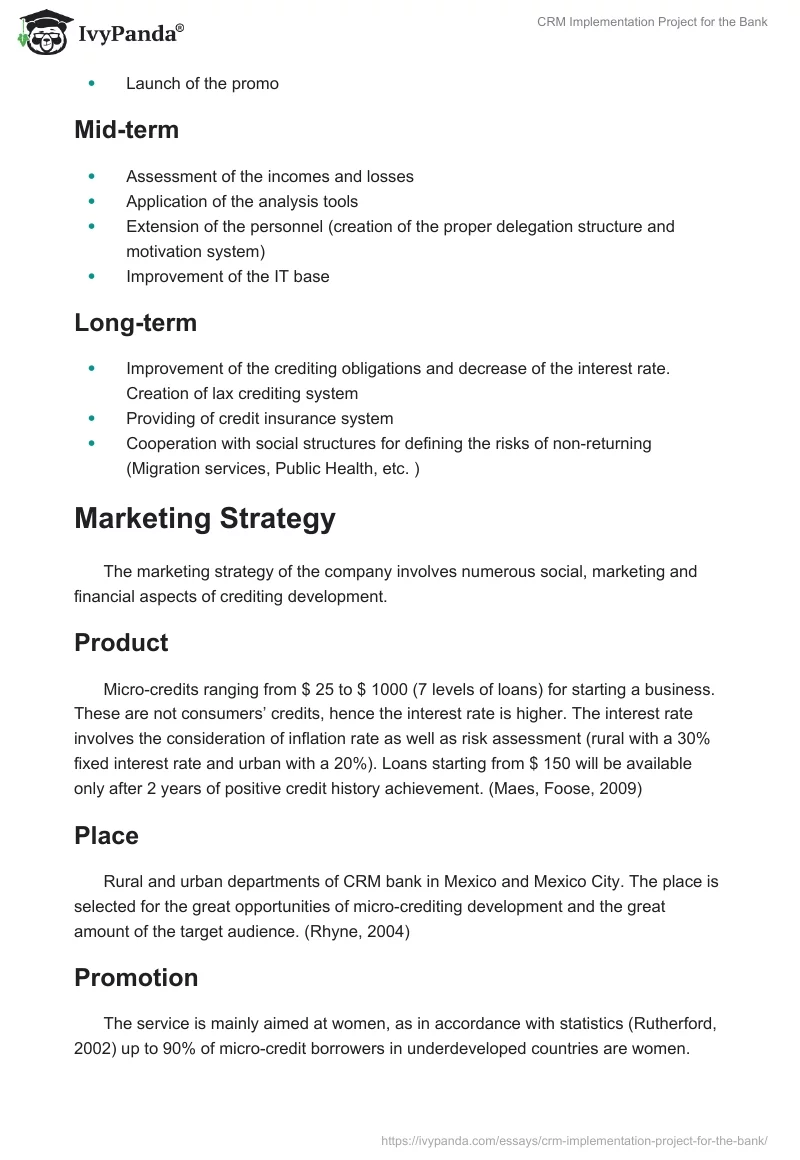 CRM Implementation Project for the Bank. Page 2