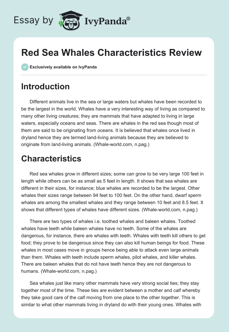 Red Sea Whales Characteristics Review. Page 1
