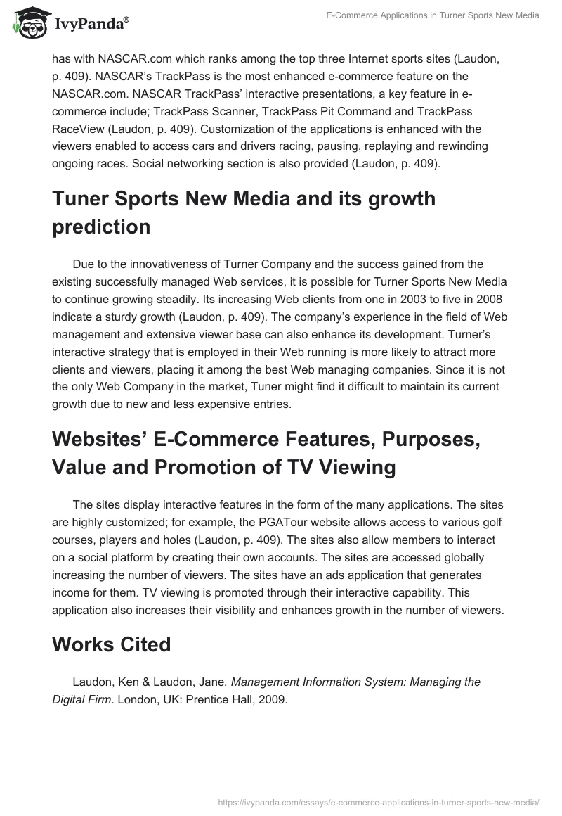 E-Commerce Applications in Turner Sports New Media. Page 2