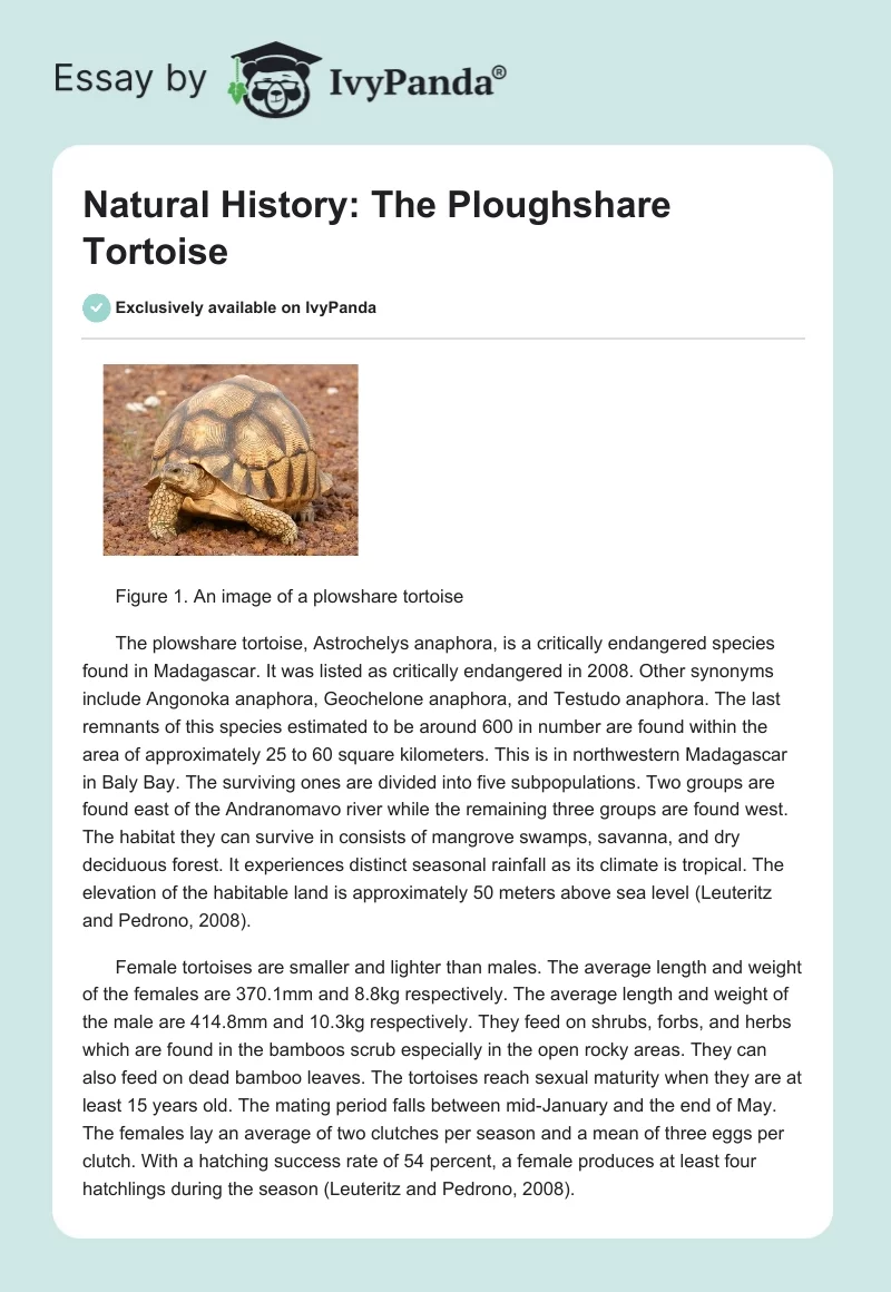 Natural History: The Ploughshare Tortoise. Page 1
