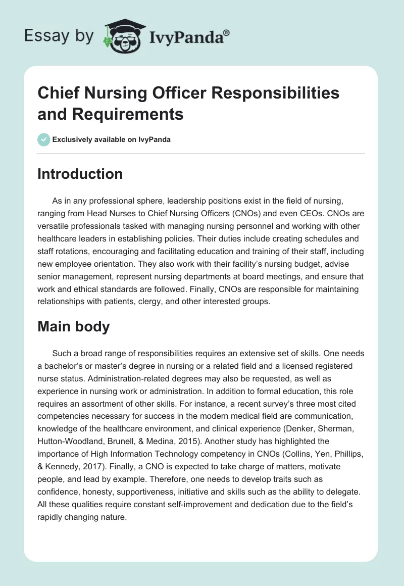 Chief Nursing Officer Responsibilities and Requirements. Page 1
