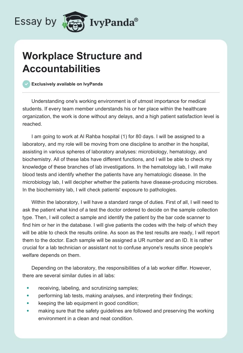 Workplace Structure and Accountabilities. Page 1