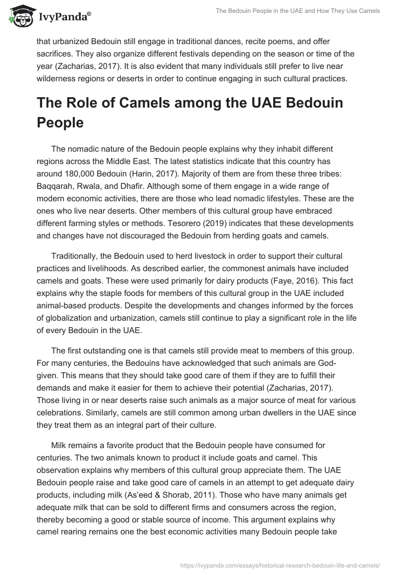 The Bedouin People in the UAE and How They Use Camels. Page 2