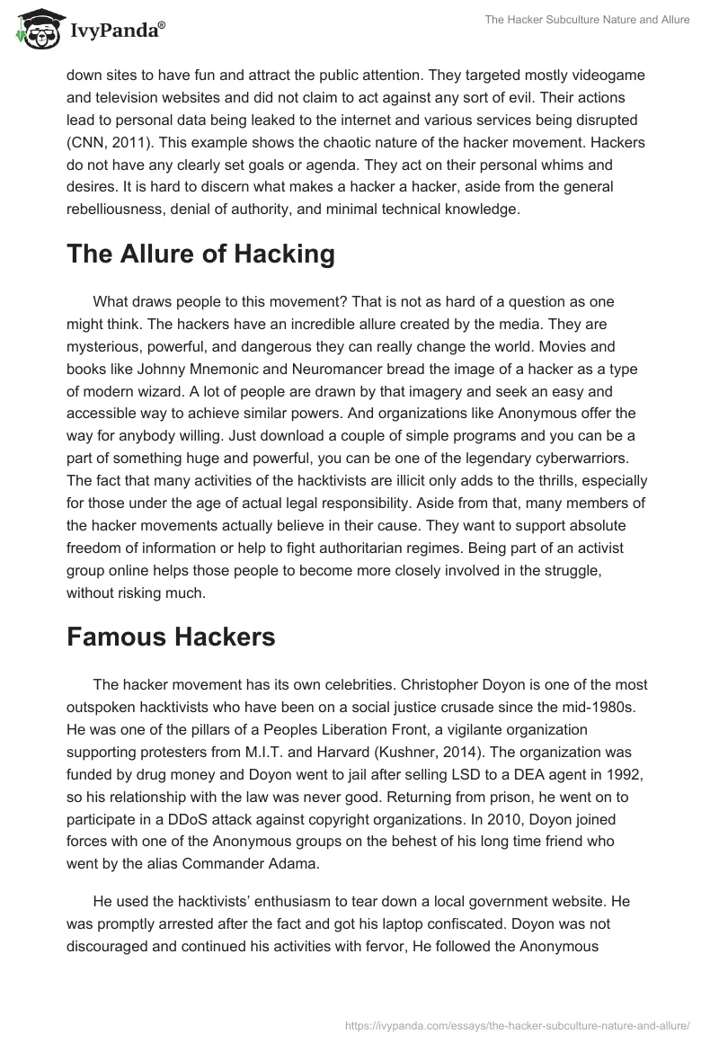 The Hacker Subculture Nature and Allure. Page 3