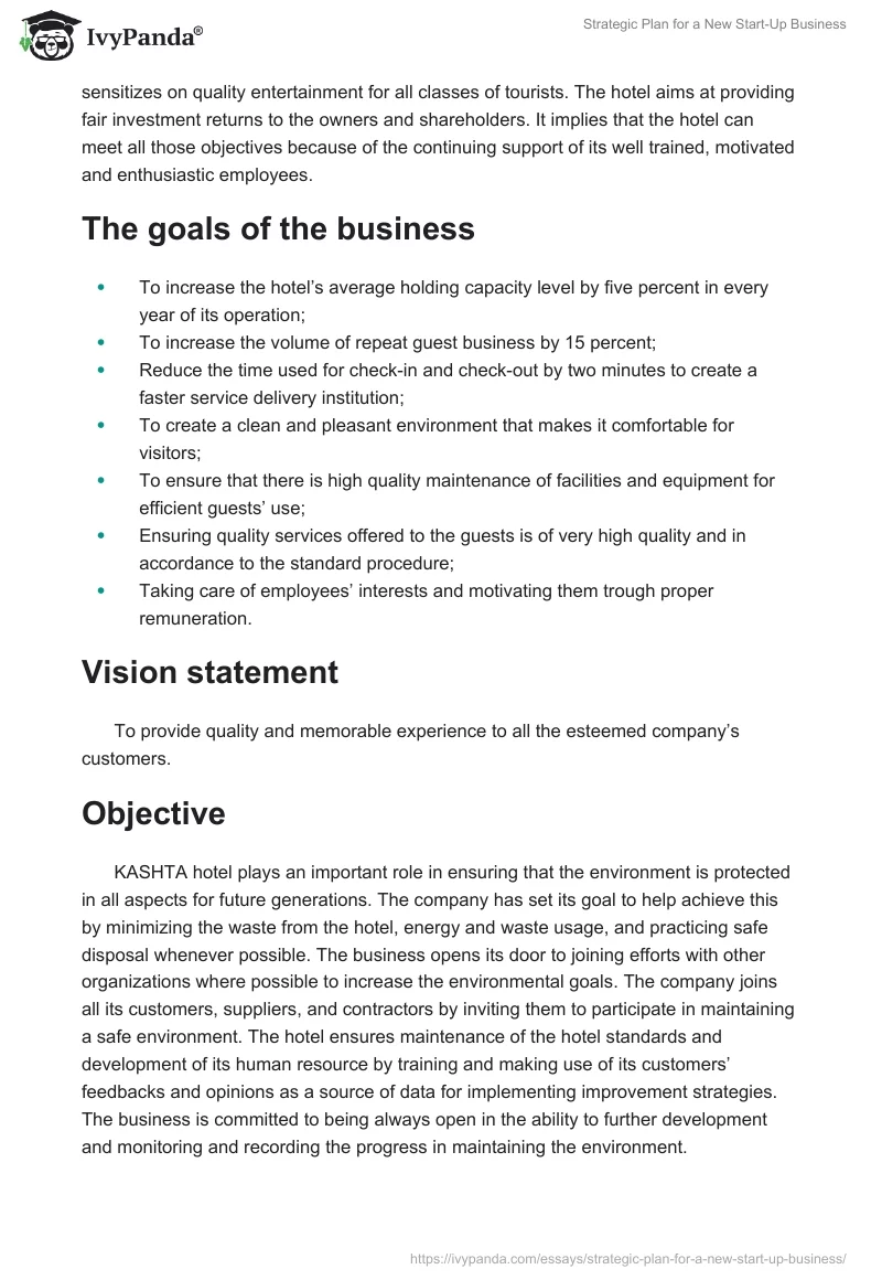Strategic Plan for a New Start-Up Business. Page 3