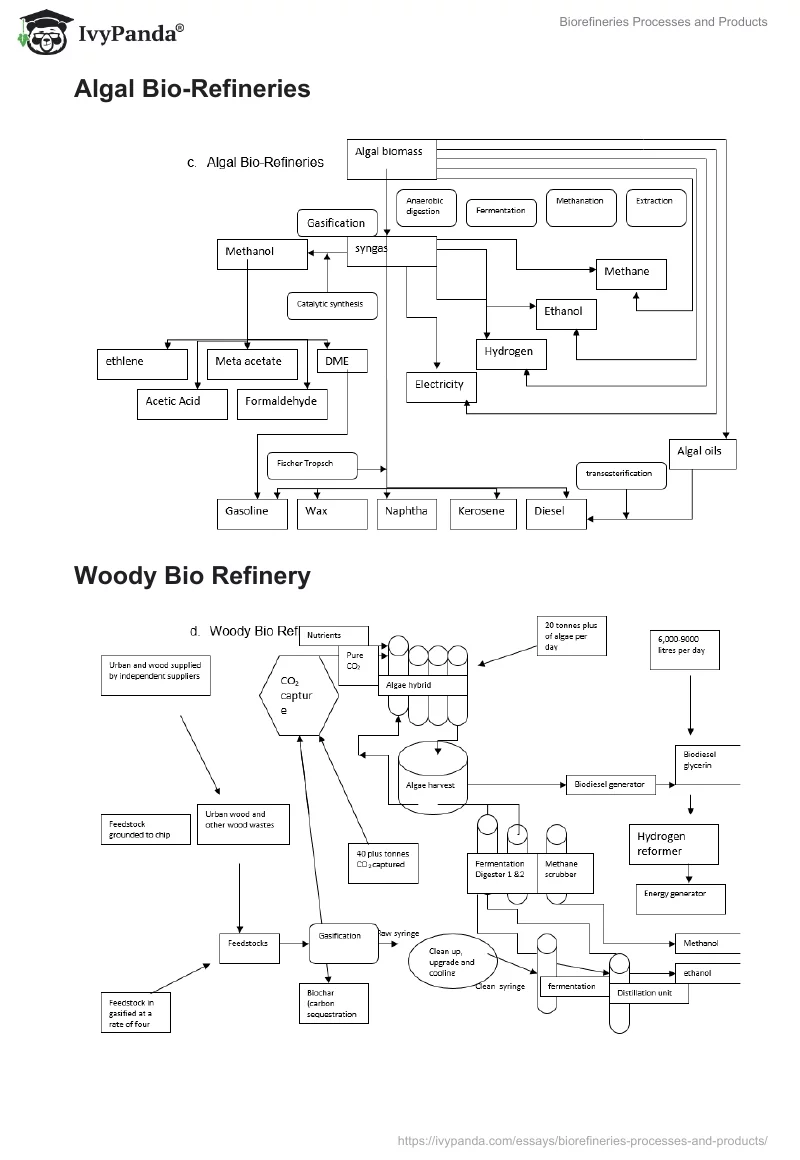 Biorefineries Processes and Products. Page 3