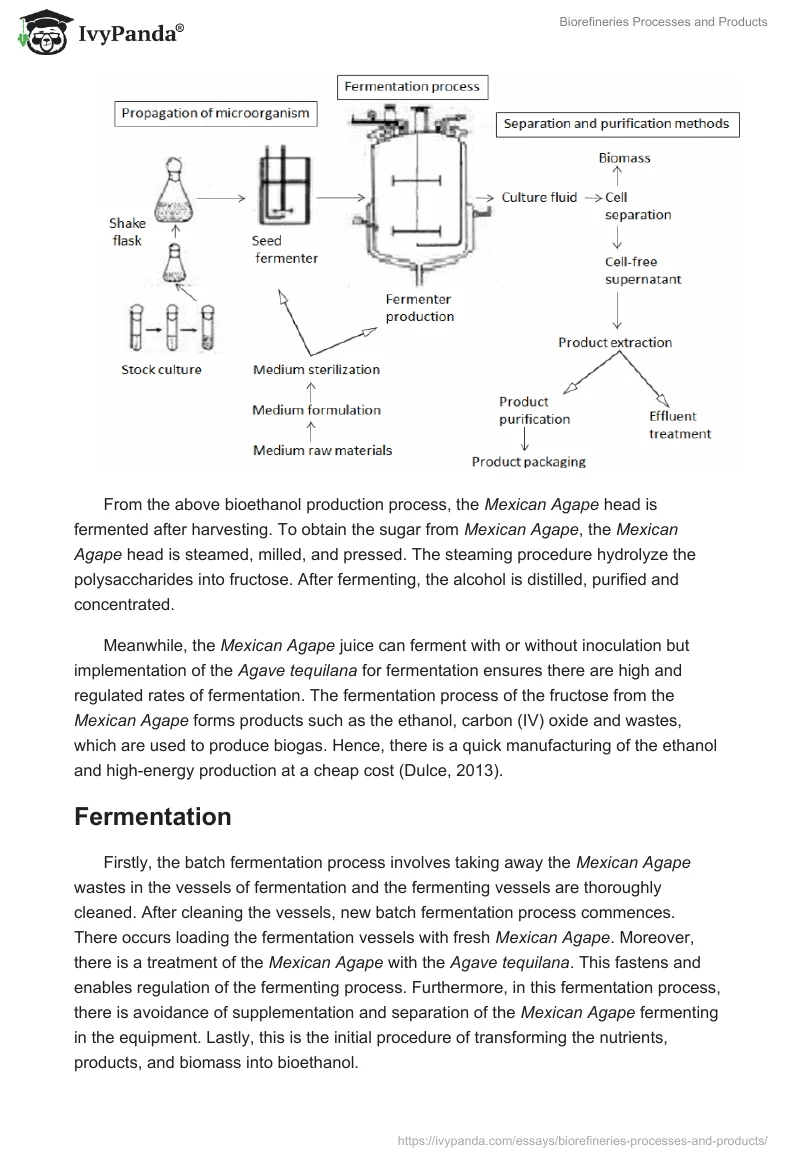 Biorefineries Processes and Products. Page 5