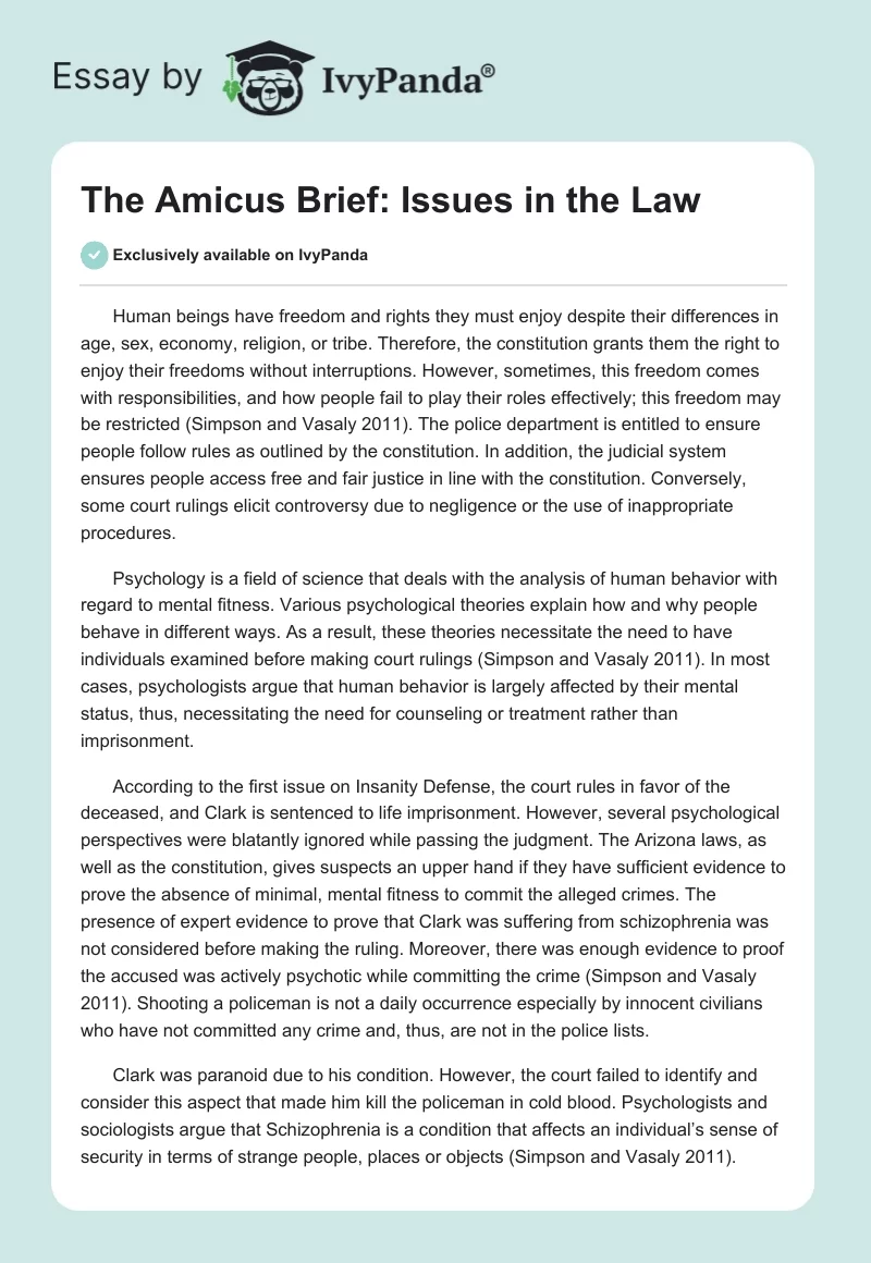 The Amicus Brief: Issues in the Law. Page 1