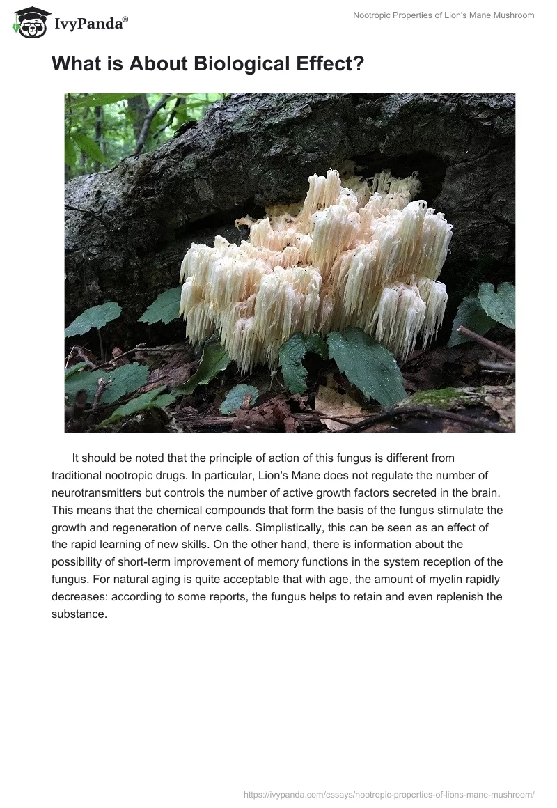Nootropic Properties of Lion's Mane Mushroom. Page 4