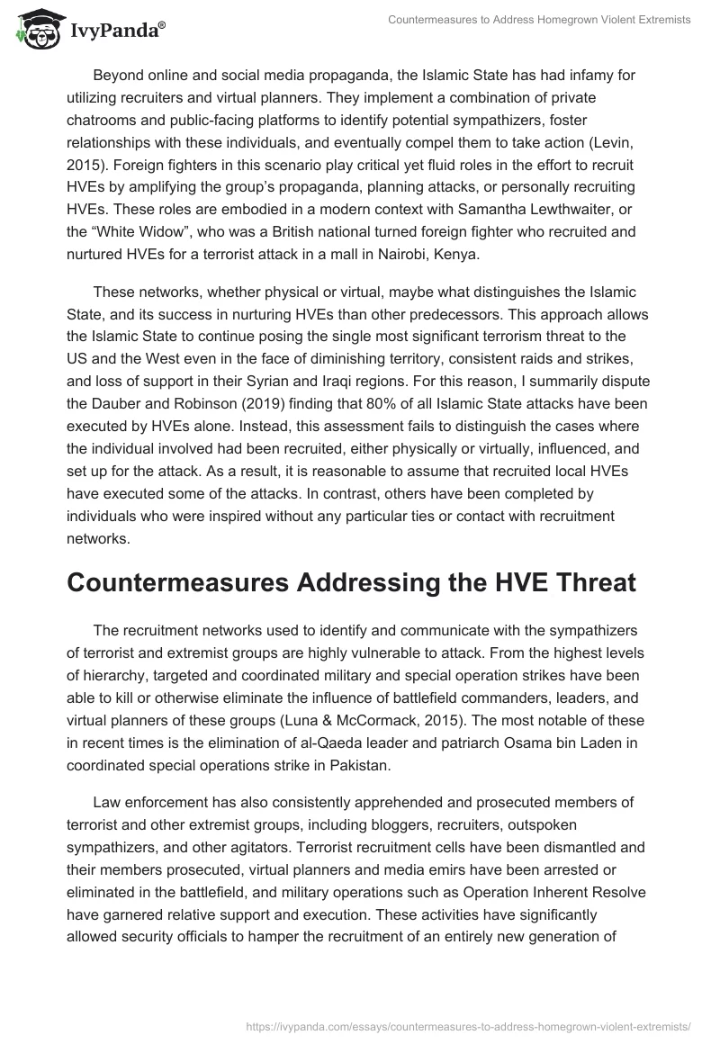 Countermeasures to Address Homegrown Violent Extremists. Page 4