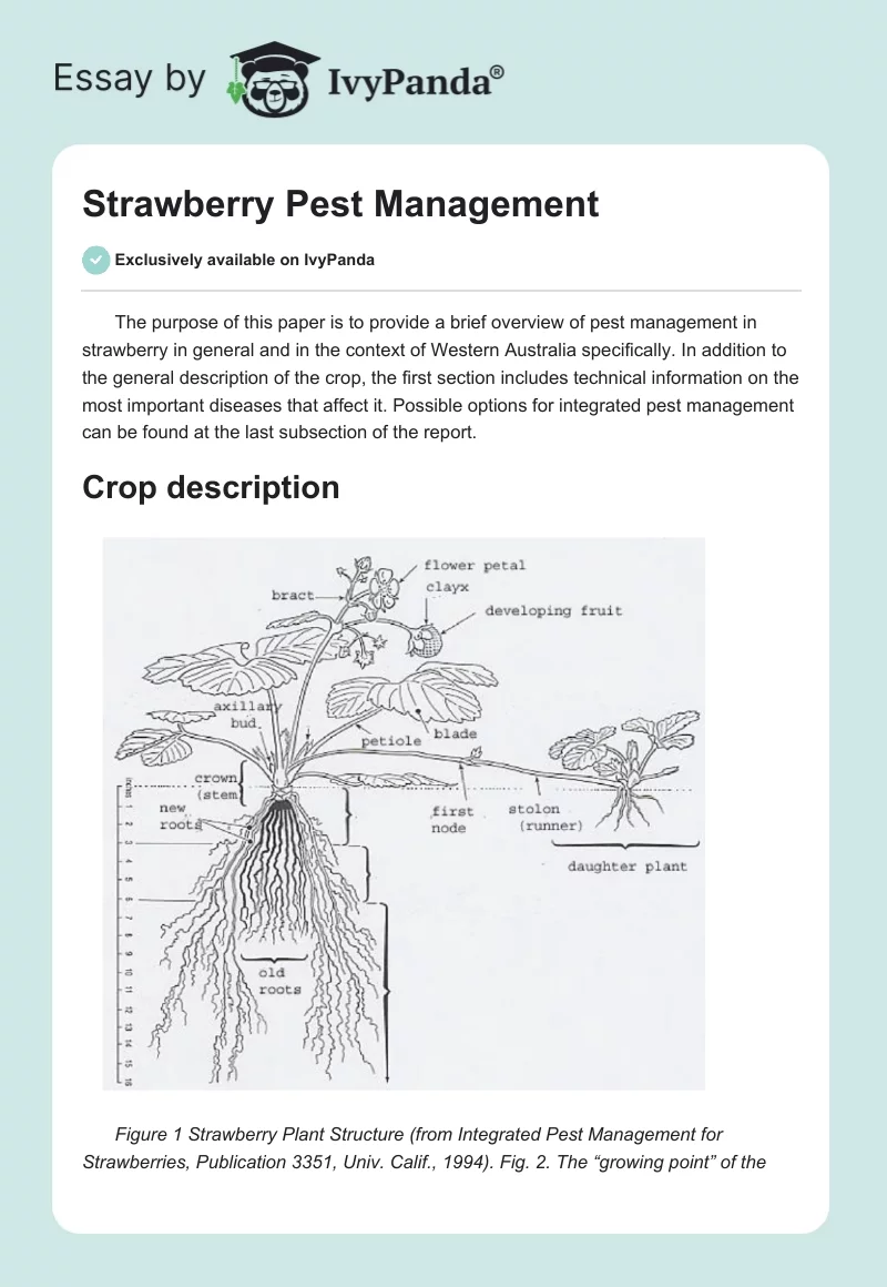 Strawberry Pest Management. Page 1