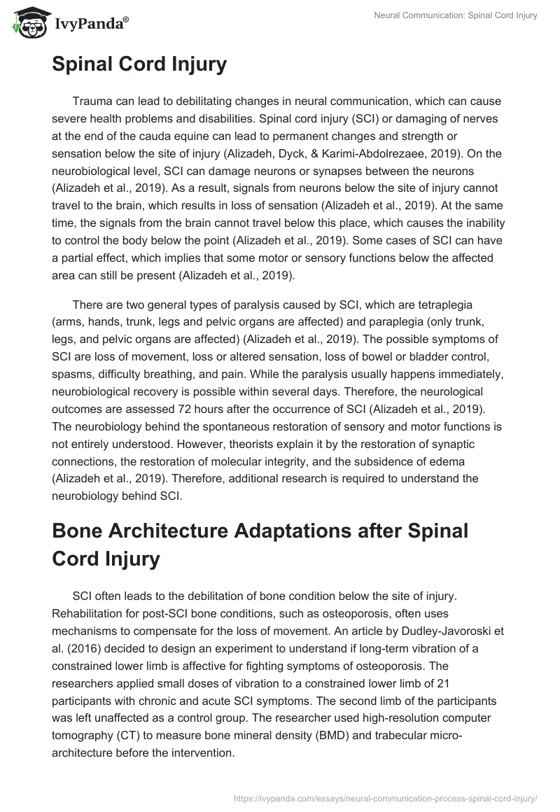 Neural Communication: Spinal Cord Injury. Page 2
