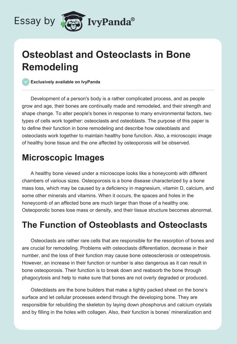 Osteoblast and Osteoclasts in Bone Remodeling. Page 1