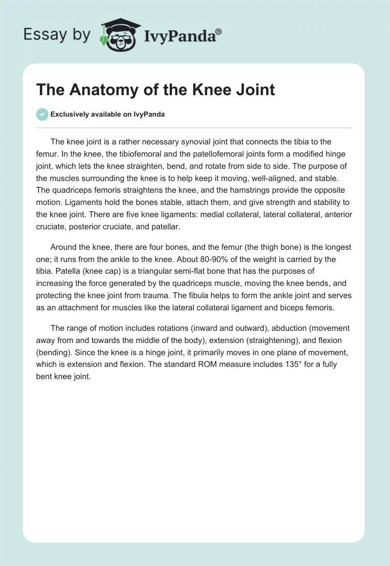 The Anatomy of the Knee Joint. Page 1