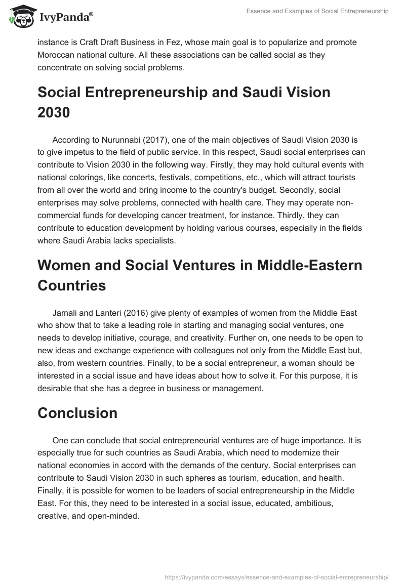 Essence and Examples of Social Entrepreneurship. Page 2