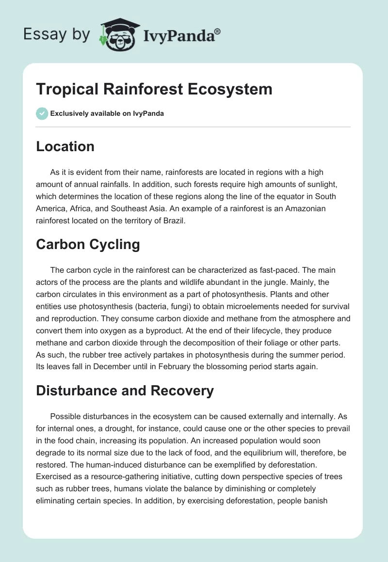 Tropical Rainforest Ecosystem. Page 1