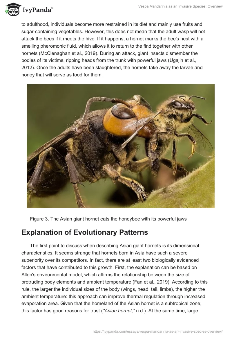 Vespa Mandarinia as an Invasive Species: Overview. Page 5