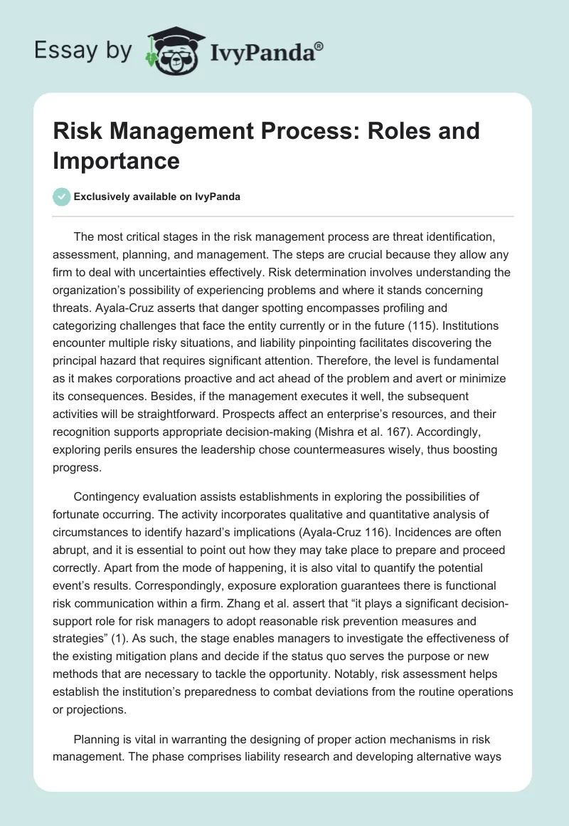 Risk Management Process: Roles and Importance. Page 1