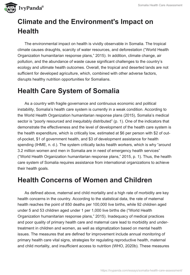 Somalia Health Care Assessment. Page 4