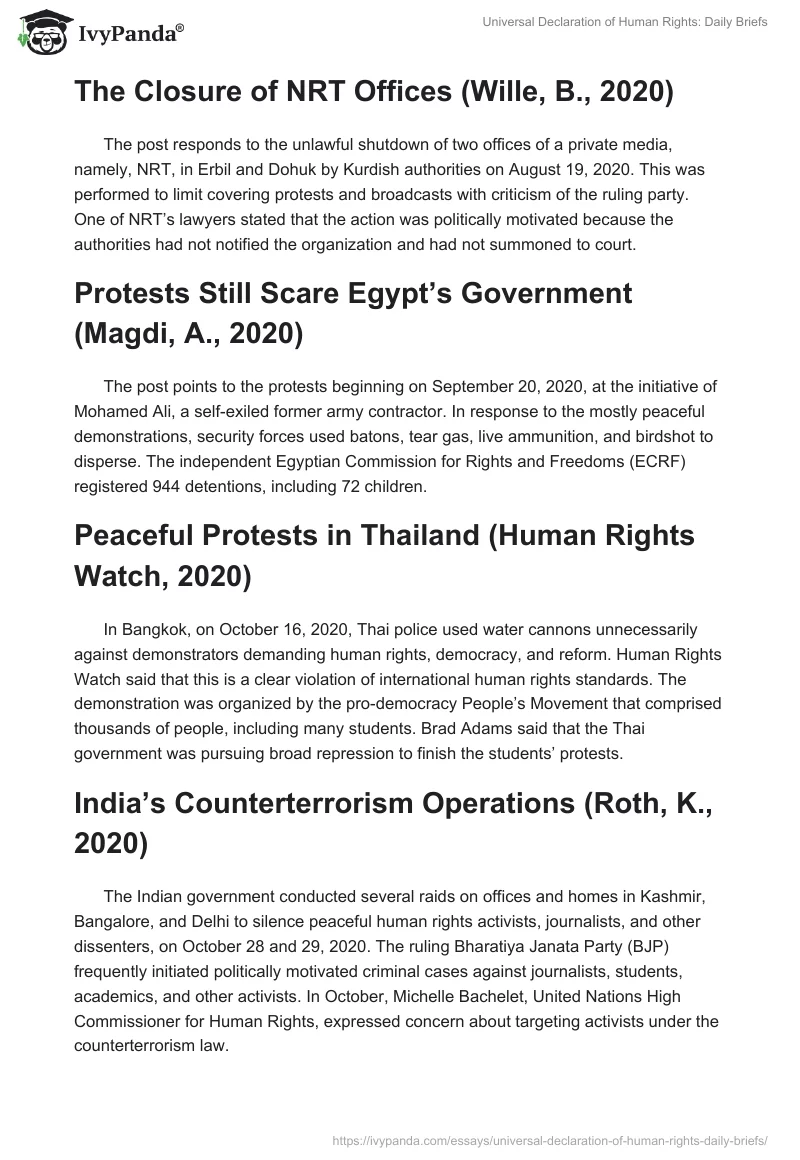 Universal Declaration of Human Rights: Daily Briefs. Page 3