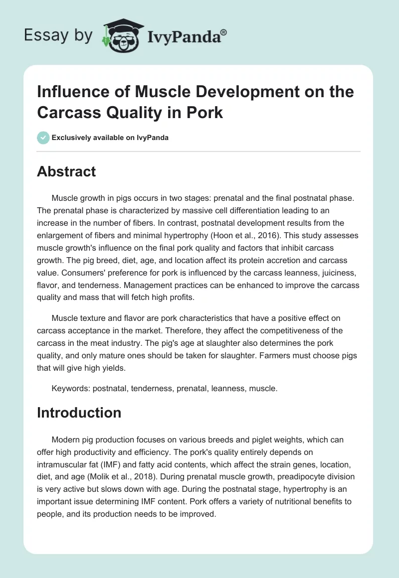 Influence of Muscle Development on the Carcass Quality in Pork. Page 1