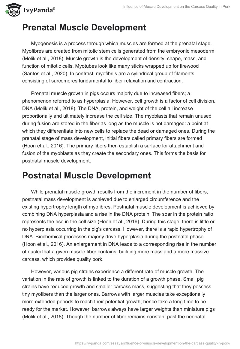 Influence of Muscle Development on the Carcass Quality in Pork. Page 2