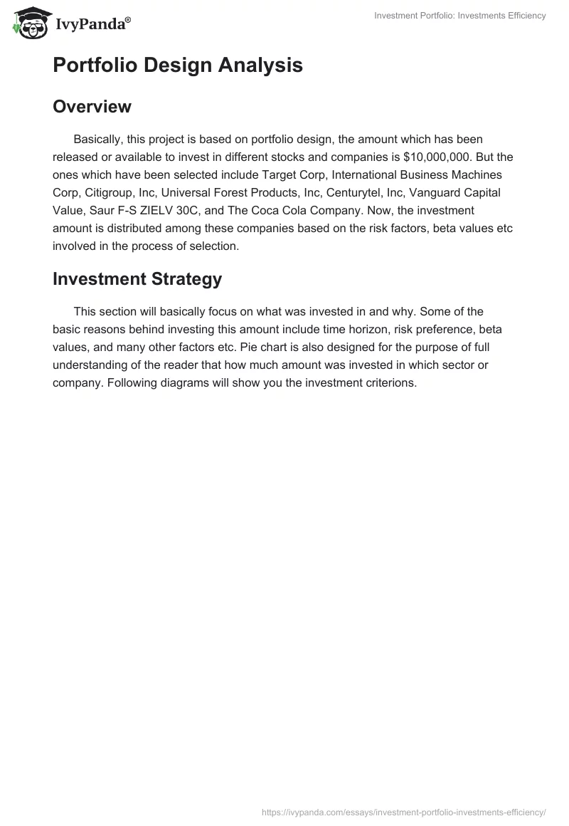 Investment Portfolio: Investments Efficiency. Page 3