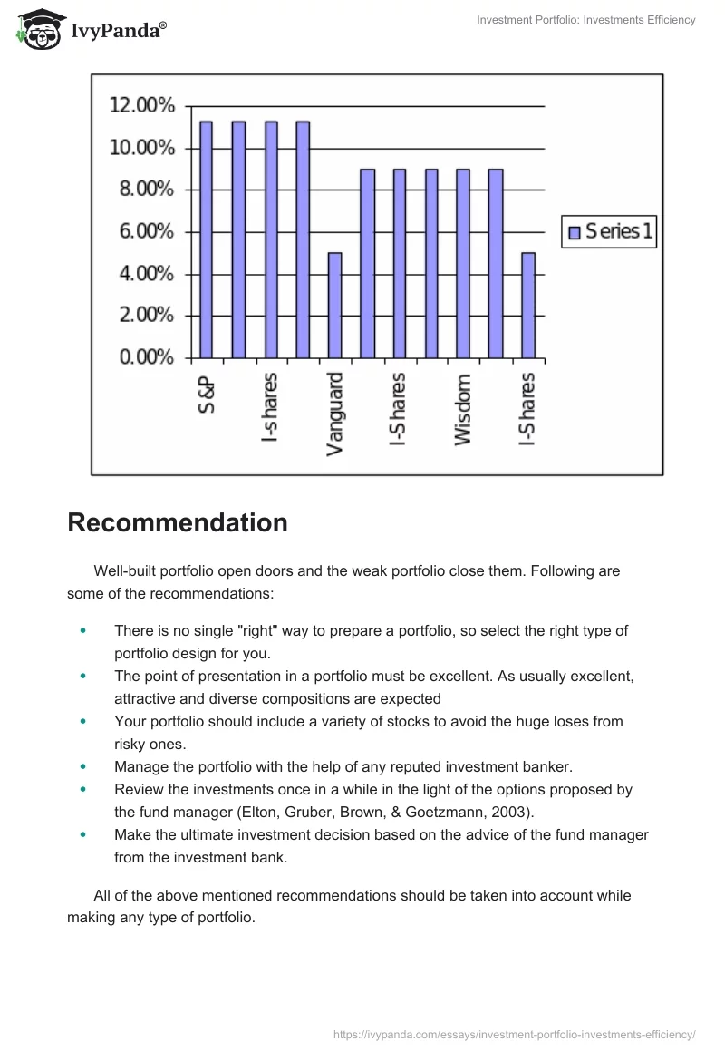 Investment Portfolio: Investments Efficiency. Page 5