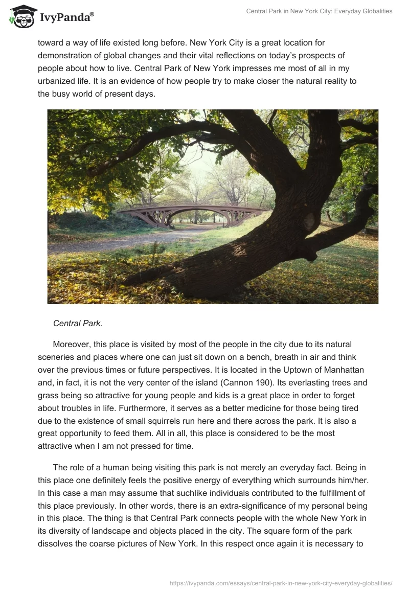 Central Park in New York City: Everyday Globalities. Page 2