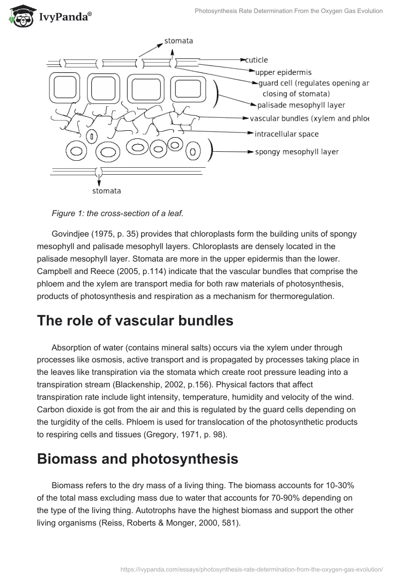 Photosynthesis Rate Determination From the Oxygen Gas Evolution. Page 4