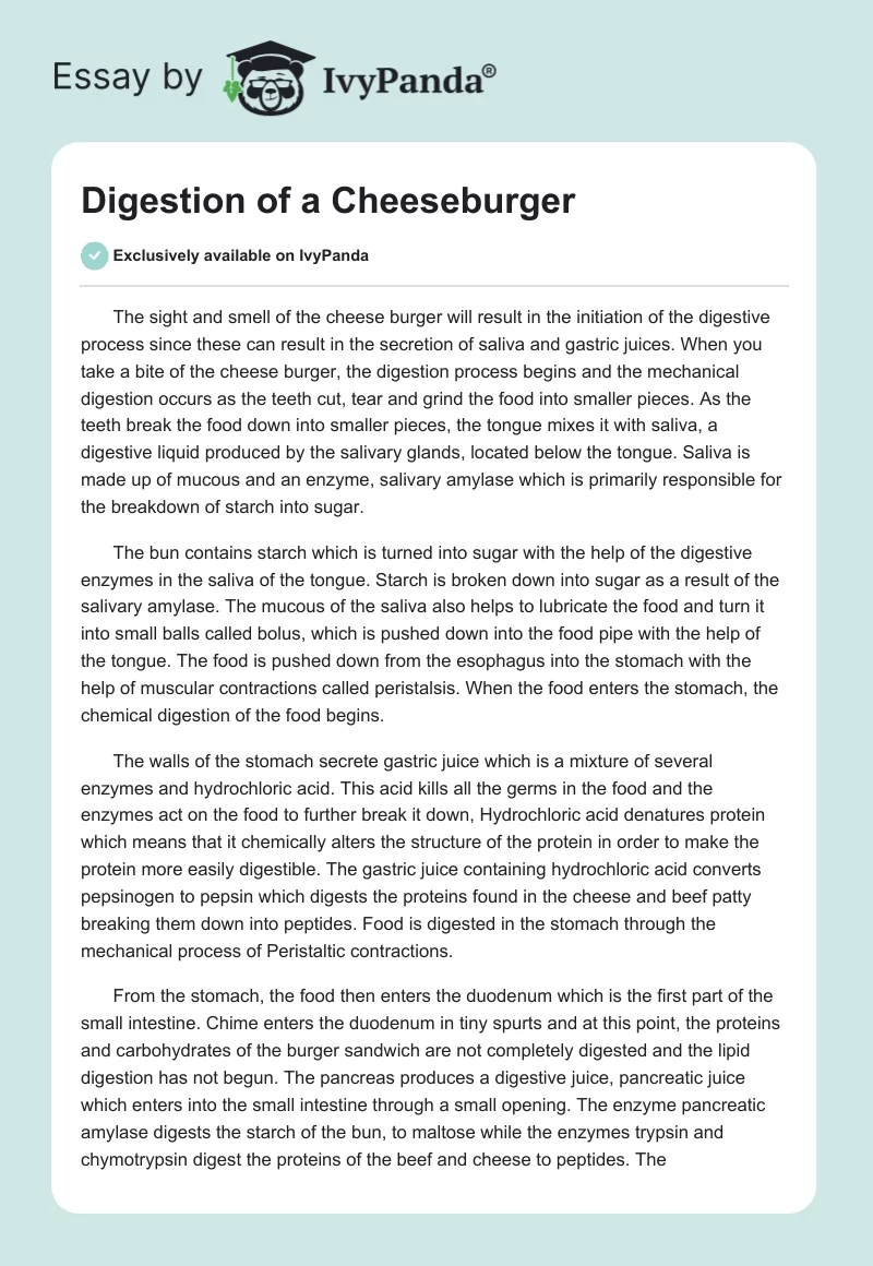 Digestion of a Cheeseburger. Page 1