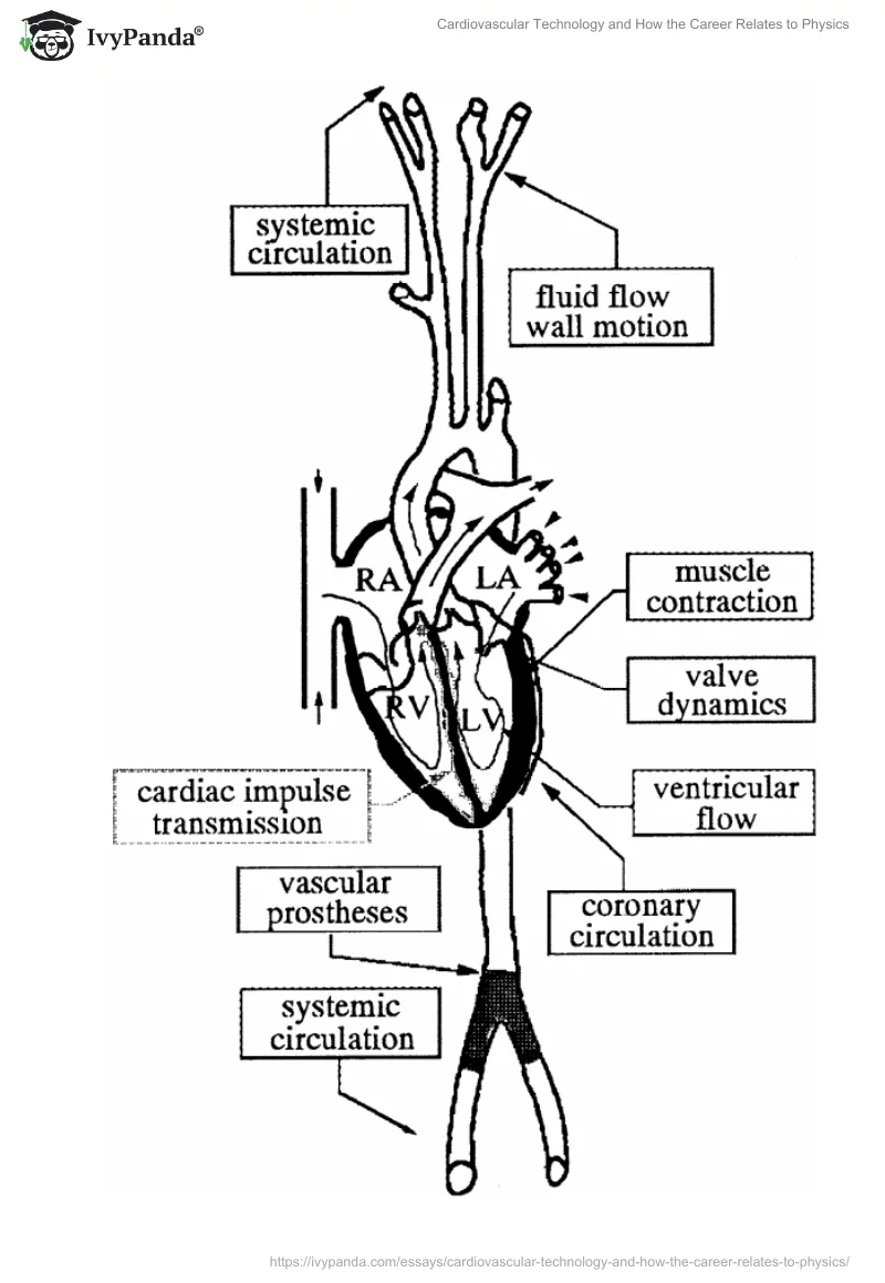 Cardiovascular Technology and How the Career Relates to Physics. Page 4