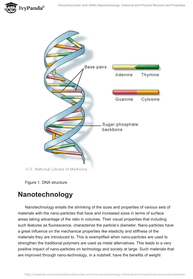 Deoxyribonucleic Acid (DNA) Nanotechnology: Chemical and Physical Structure and Properties. Page 2