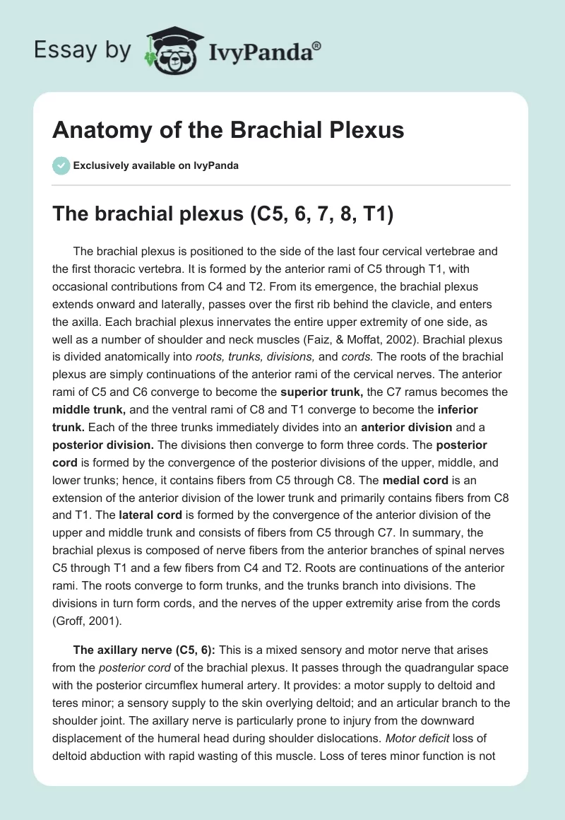Anatomy of the Brachial Plexus. Page 1